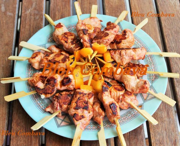 Pinchitos de Pollo (brochettes de poulet)-Espagne