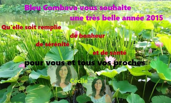 Le Top 5 du Mois de Décembre et Tous Mes Vœux!
