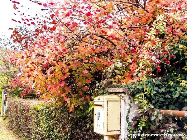 Couleurs d'automne