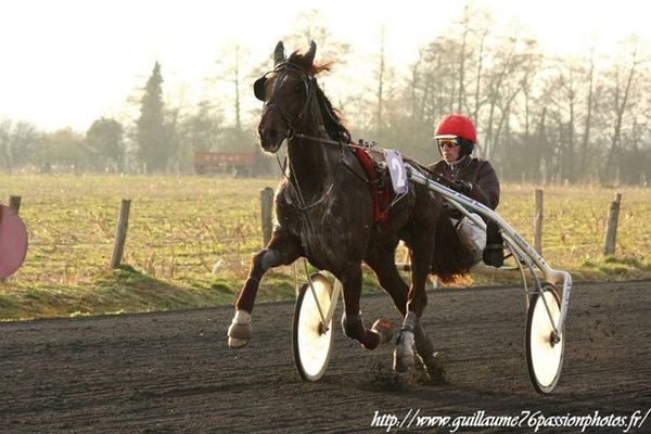 Mercredi 1 Janvier 2014