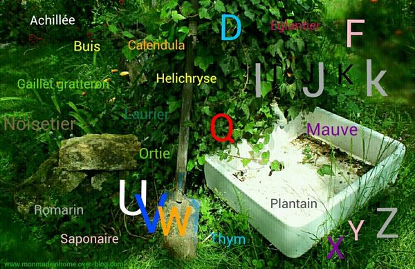 "ABCdaire" des plantes médicinales les plus courantes (v3-07.15)