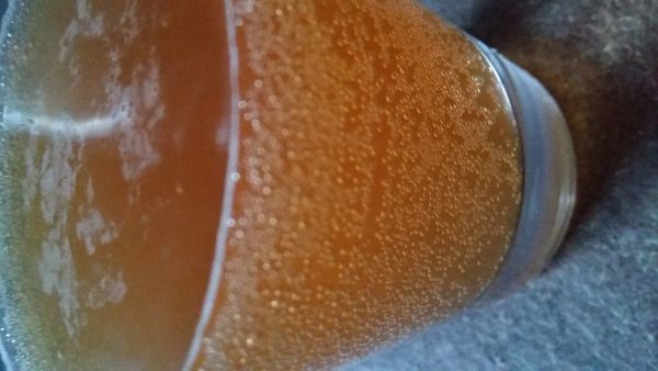 J'adore le Kombucha !