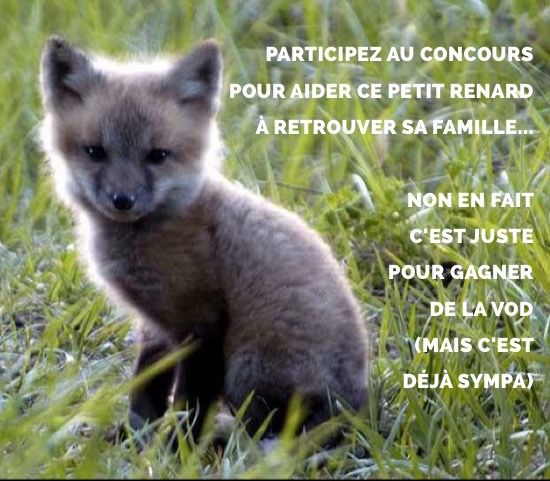 Concours VOD Foxer !