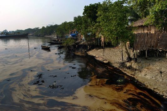 Catastrophique marée noire au Bangladesh