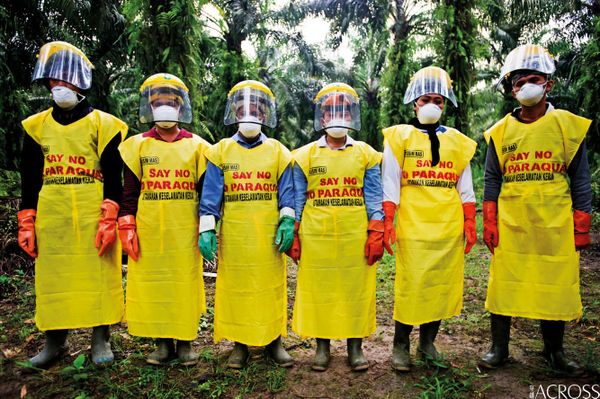 PARAQUAT a toxic chemical