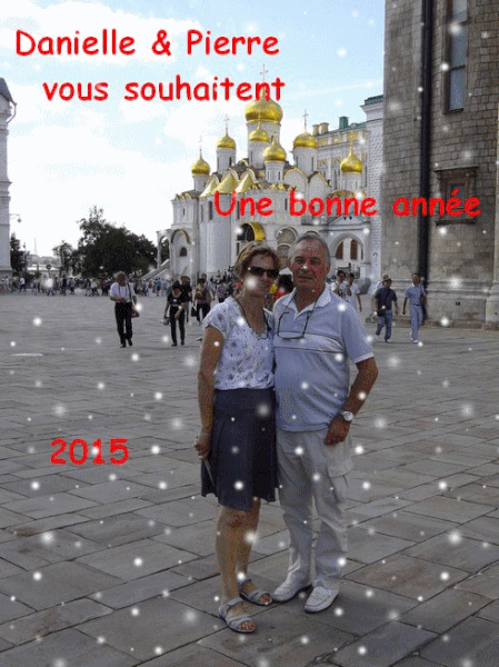 Bonne année 2015