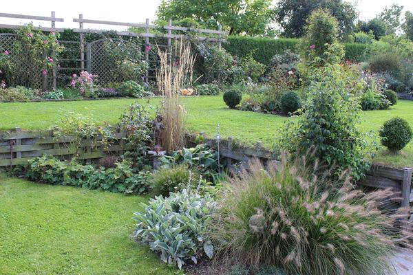 L'automne tout en douceur: les asters