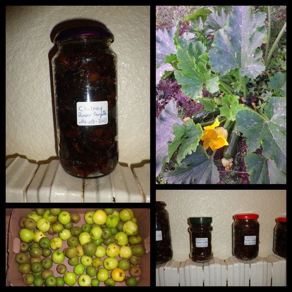 River Cottage Chutney (Pomme et Courgette)