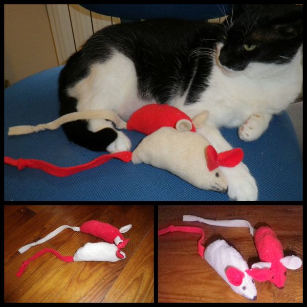 Mimi la souris... grande comme un rat !