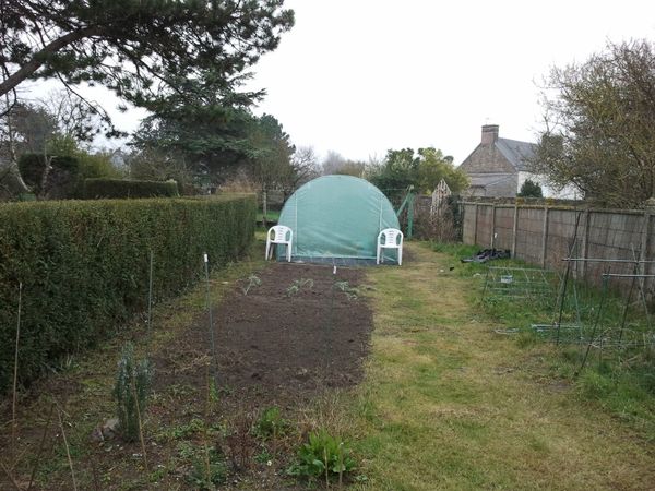 Le printemps arrive... le potager reprend vie !
