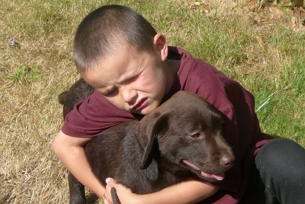 Médiation animale à ROSNOEN (29) - Facteur de socialisation pour le handicap