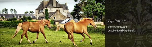 Cheval, handicap et expo photo en Bretagne