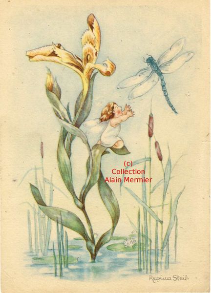 Iris -3601- CPSM. STEIB Régina. Elfe ou enfant, libellule.. Allemagne. Années 50.