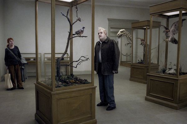 Un Pigeon Perché sur une Branche Philosophait sur l'Existence - de Roy Andersson - 2014