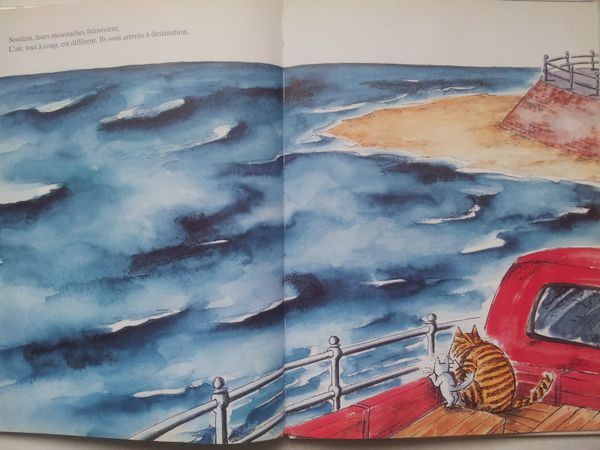 Le dernier voyage ... ou comment parler de la Mort. Andréa Nève. (dès 5 ans)