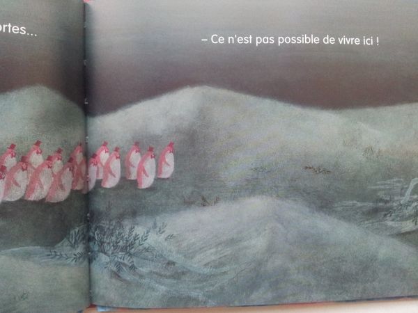 Une si jolie Terre. Satoe Tone (dès 4 ans)
