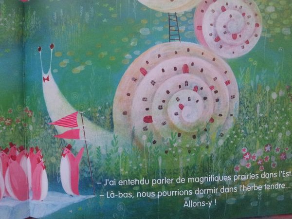 Une si jolie Terre. Satoe Tone (dès 4 ans)
