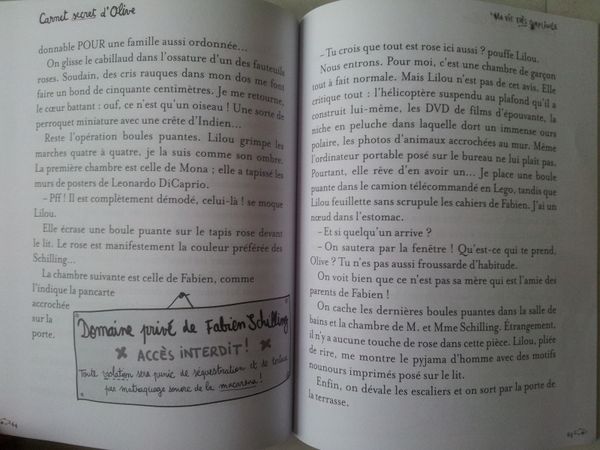 Carnet secret d’Olive. Numéro 1. Ma vie très compliquée. Dagmar GEISLER (Dès 9 ans)