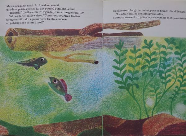 Histoires de poissons...