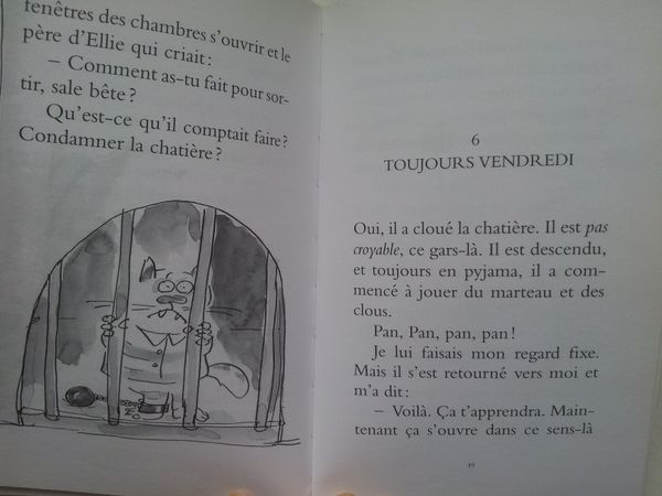 Journal d’un chat assassin. Anne FINE. (Roman dès 7 ans)