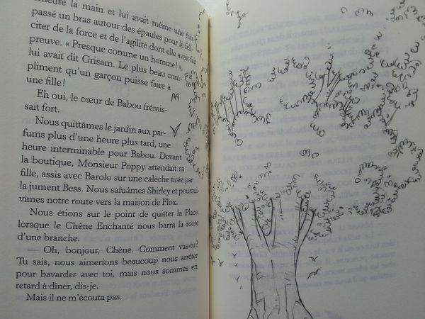 Fairy Oak Tome 1 Le secret des jumelles.