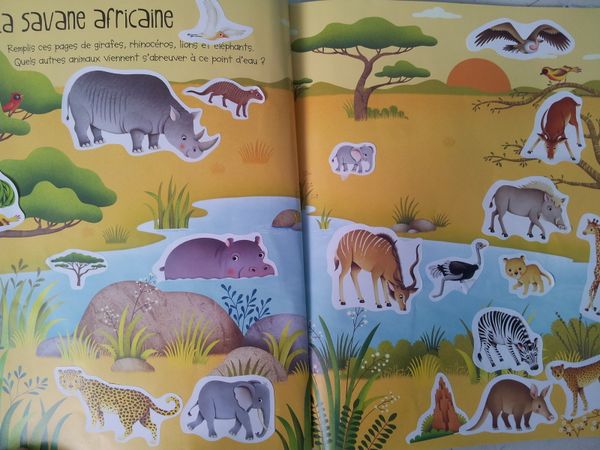 Jouer et découvrir# 28 – 3 livres d’activités Usborne (Dès 4 ans)