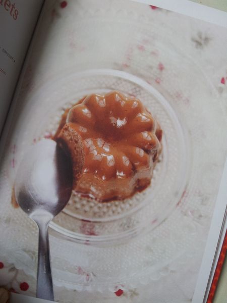 Pur cacao. 50 recettes végétales pour redécouvrir le chocolat. Delphine POCARD