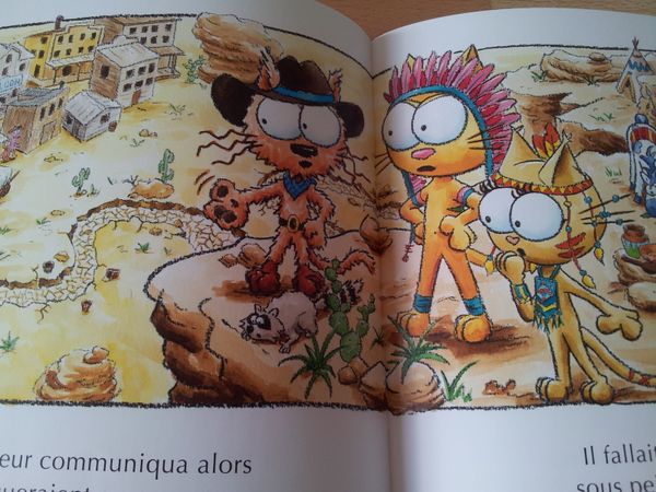 Le chat Peau d'cow-boy. Stéphanie DUNAND-PALLAZ et Sophie TURREL (Dès 4 ans)