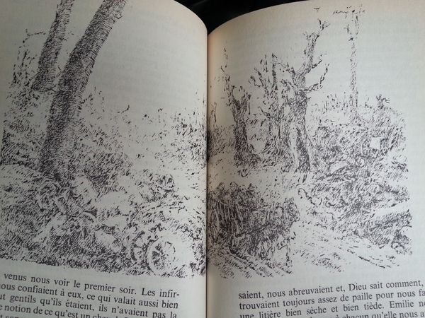 Cheval de guerre. Michael MORPURGO (Dès 12 ans)