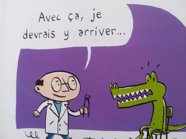 Bonjour docteur. Texte de Michaël ESCOFFIER et illustrations de Matthieu MAUDET. (dès 3 ans)