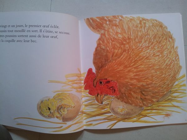 LE BEL OEUF. Marie Wabbes (dès 2 ans)