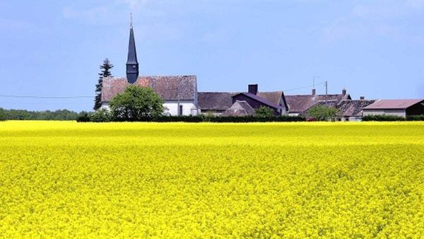 Accaparement de terres agricoles dans le Berry