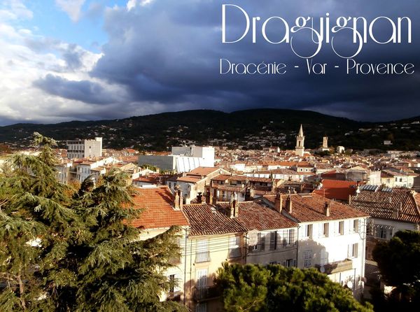 Draguignan - Dracénie - Var - Provence