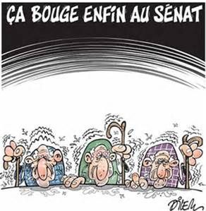 Les sénateurs : de vieux sages très réacs...