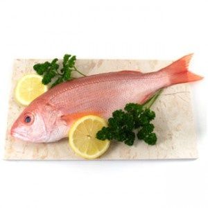 Attention Danger: Choisissez le bon Poisson