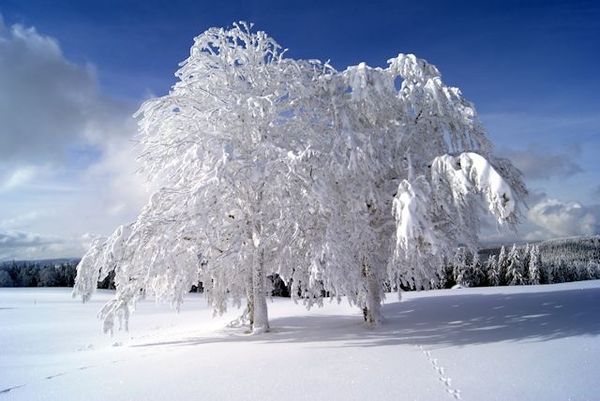 Magnifique non?