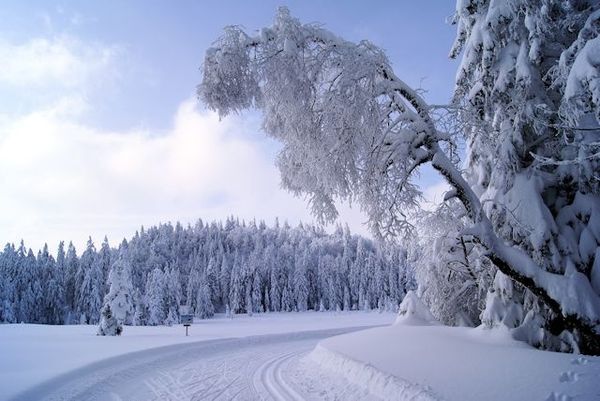 piste de ski de fond du Lispach