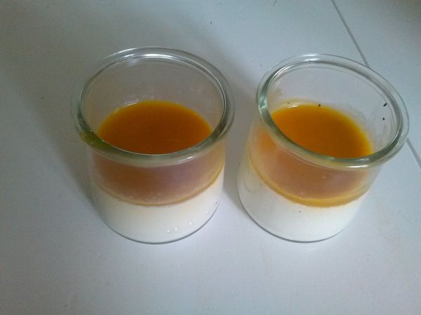Panna cotta coulis mangue et abricot, thermomix, agar agar