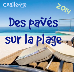Challenge - Des pavés sur la plage