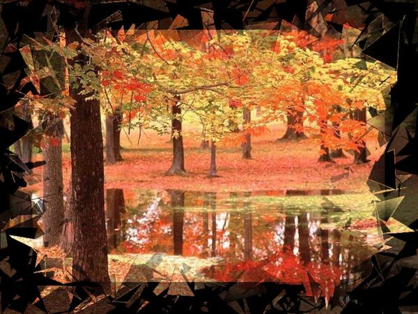 Challenge - Au fil des saisons et des pages