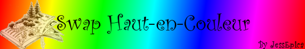 SWAP Haut en couleur