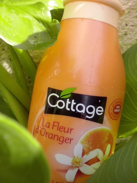 plaisirs de la douche, cottage