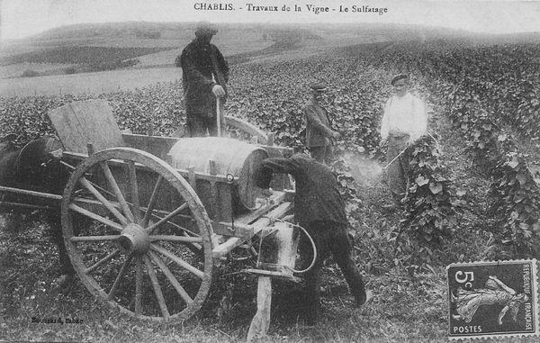 (Article) Introduction à l'histoire de l'écologie agricole : réflexion philosophique