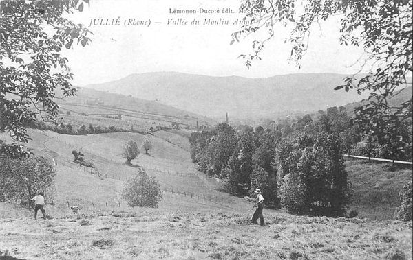 (Article) La répartition du sol en Beaujolais au XIXème siècle - 2/2