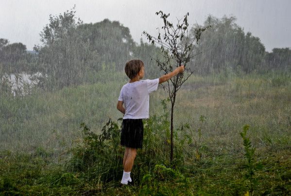 La terre outragée - Lundi 24 novembre 2014 sur ARTE 20h50