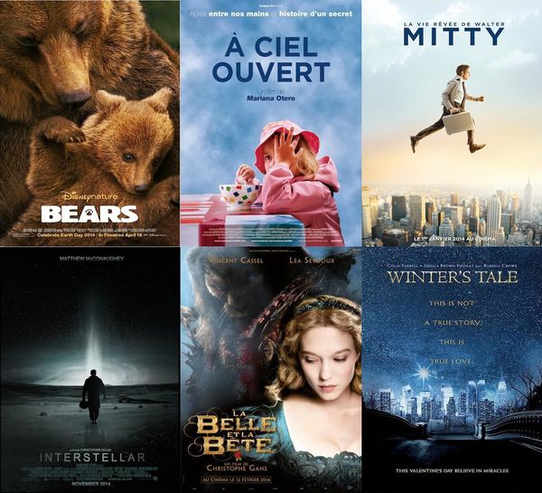Petit panorama cinématographique en 2014