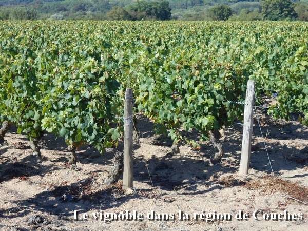 A l'est d'Autun, le mont Rome tel un Ventoux à gravir : il rime avec Chris Froome