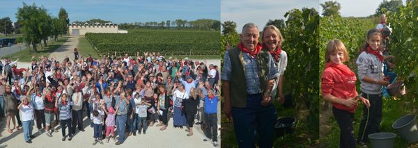 Une journée de vendanges en famille ou entre amis