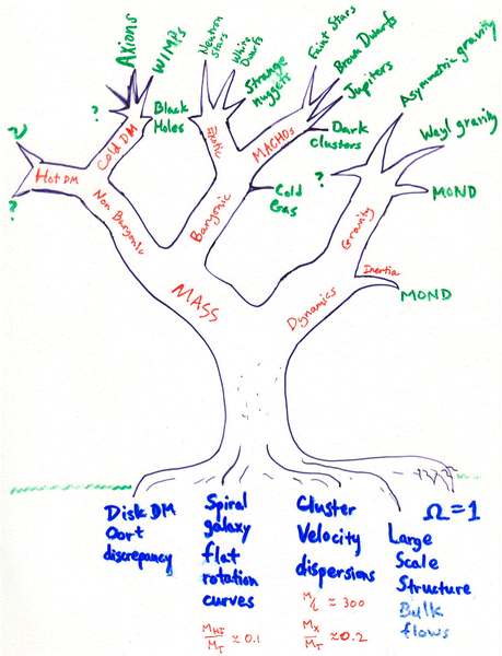L'arbre de la matière noire ( The Dark Matter Tree ) de Stacy Mc GAUGH