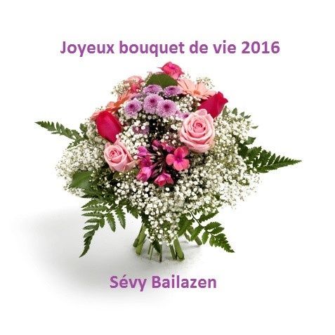 Voeux et rentrée 2016 avec Bailazen